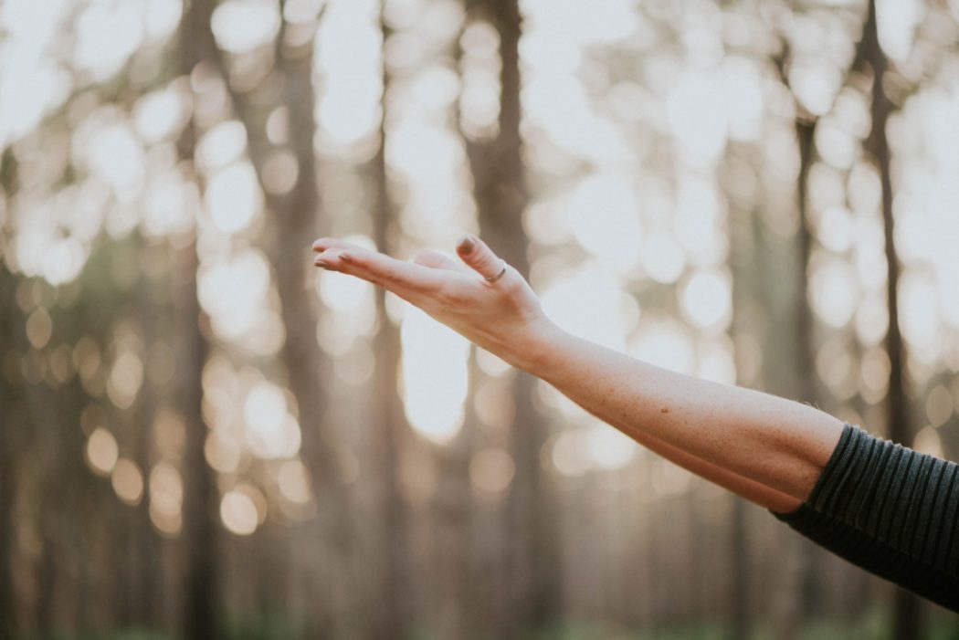 An outstretched hand with a forest in the background.