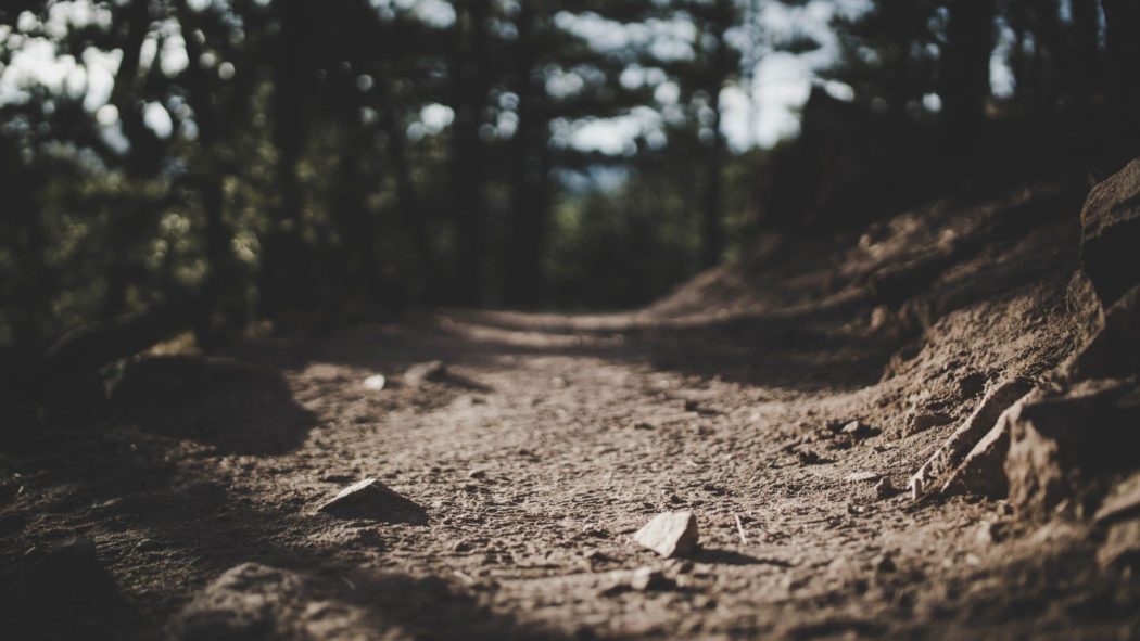 Close up of a rocky dirt path surrounded by trees.