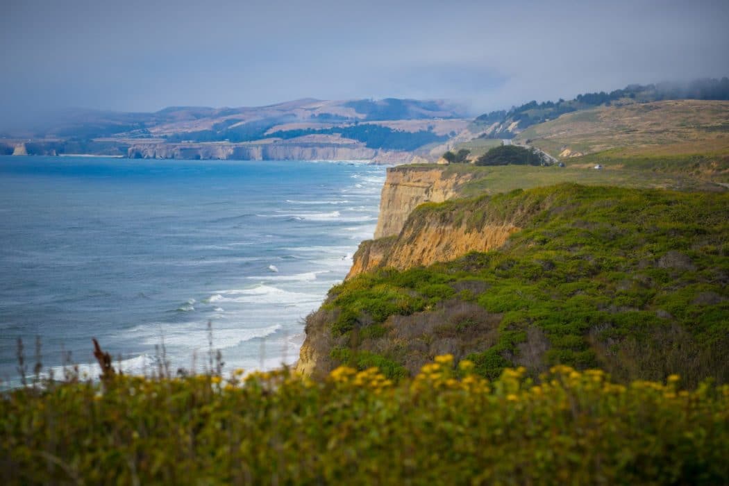 Grassy cliffs overlooking the ocean.