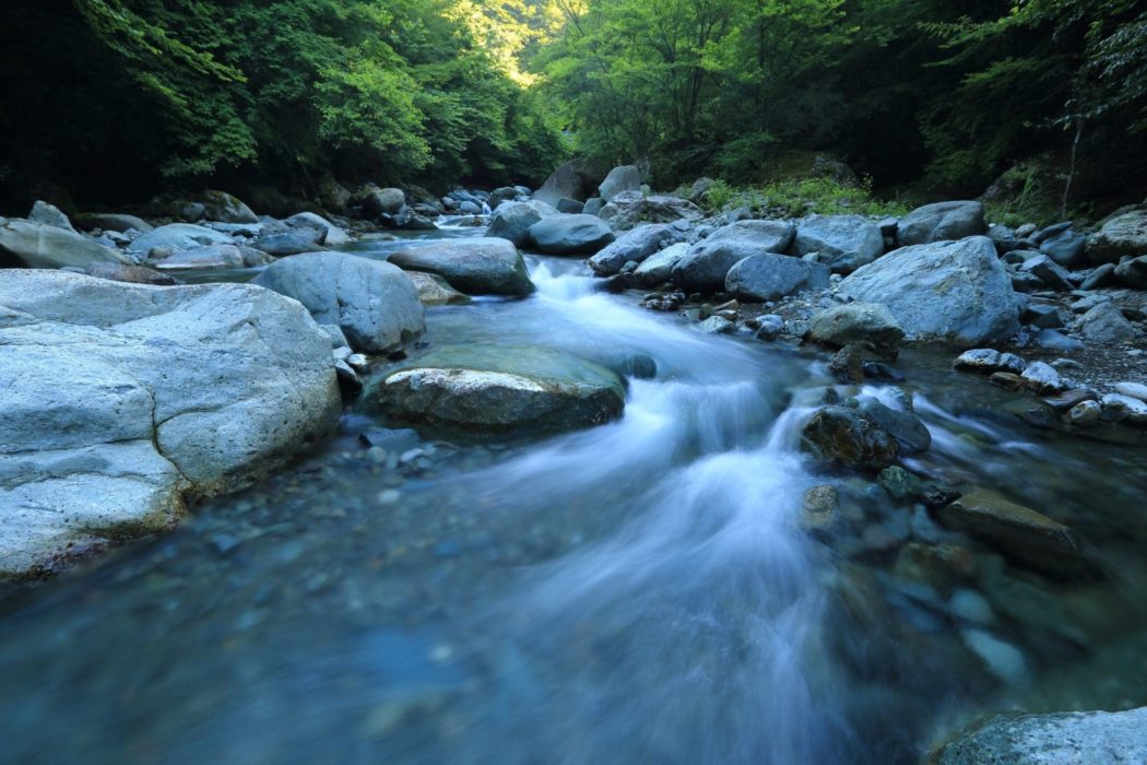 The view from the base of a small stream running through a lush forest with rocks all around and in it.