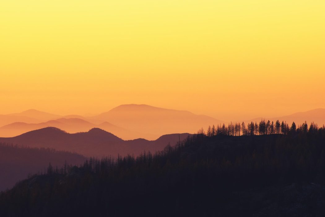 The view of a mountain range against the sunset, a forest silhouetted on the hill in the foreground.