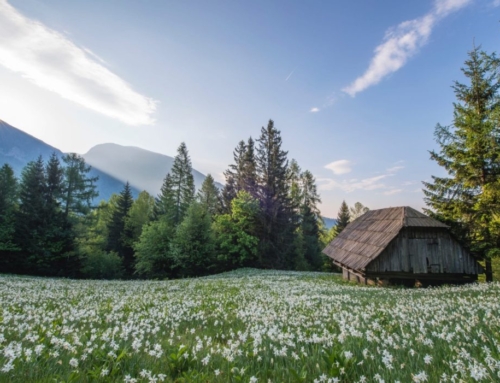 The Forgetfulness of God