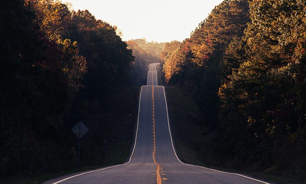 A winding, hilly highway bordered by trees on both sides.
