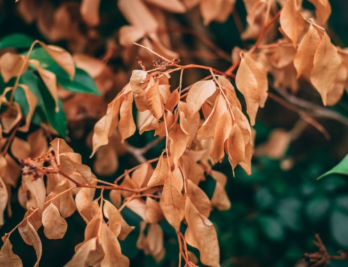 Know Your Transgressions