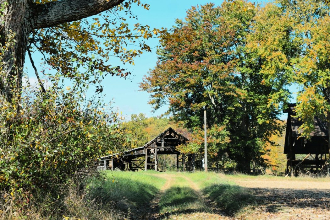 An unfinished house frame surrounded by trees.