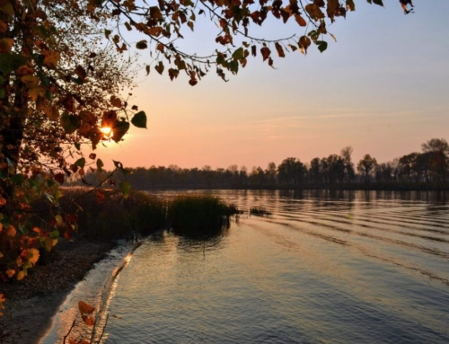 In Whose Life Do You Live?