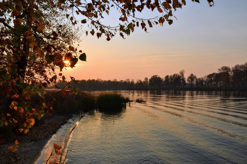 A tranquil river flowing gently in the late afternoon.