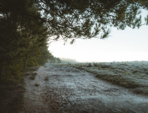 How Good and Pleasant