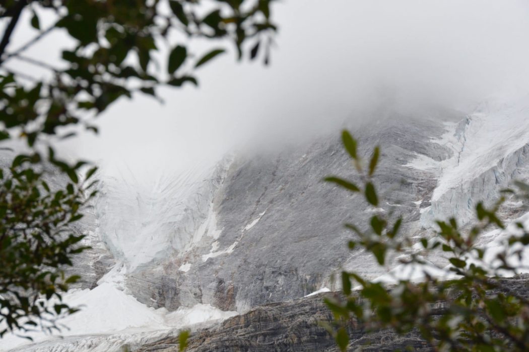 A snow-capped mountain, possibly a glacier, with heavy cloud cover. The foreground is framed by the leaves of trees.