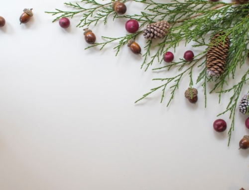 “All Things” As Defined by Paul