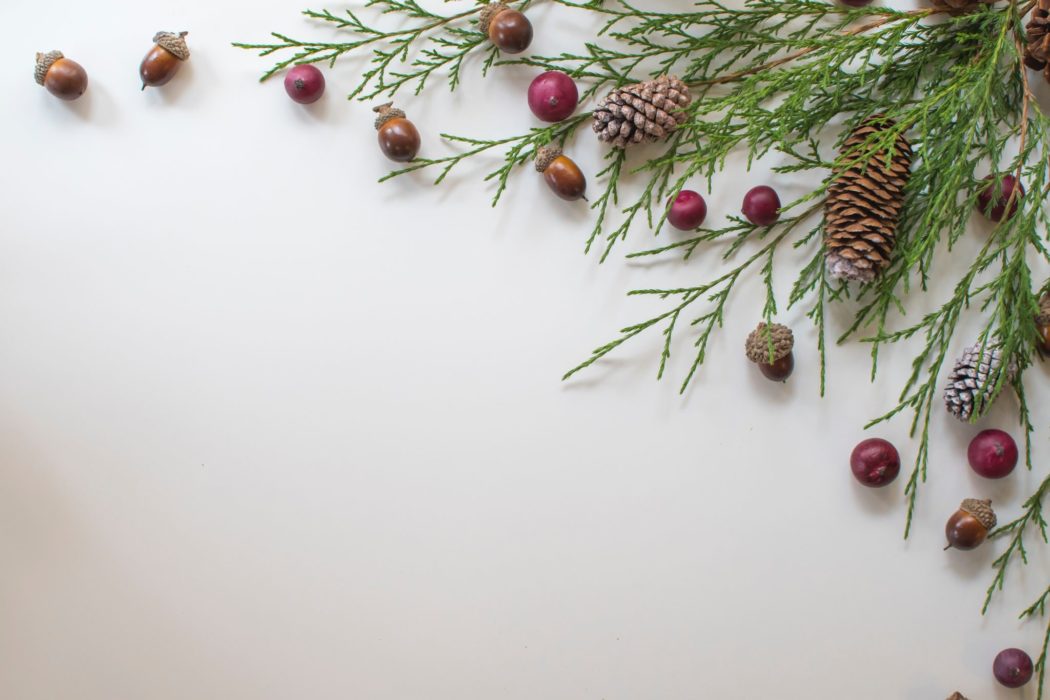 Acorns arranged on a white table with a green pine branch. 