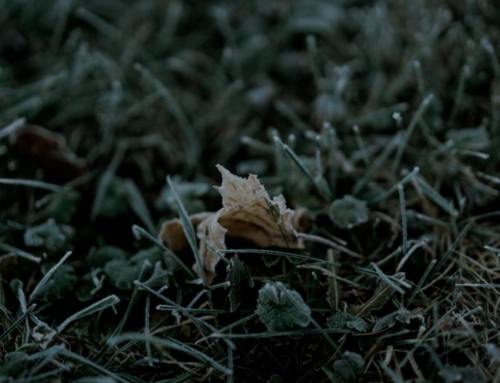 Sweet Hour of Prayer