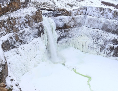 At the Breast of the Lord