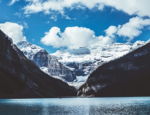 Christmas in the Stable