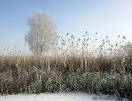 Hold God to His Word