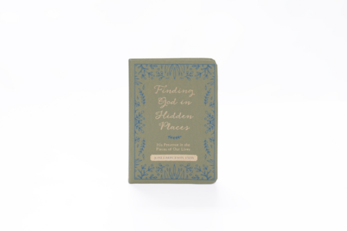 Finding God in Hidden Places book cover