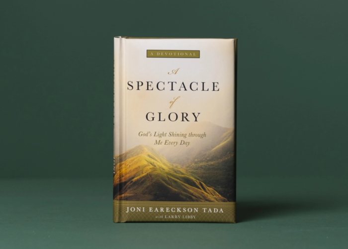 A Spectacle of Glory Cover