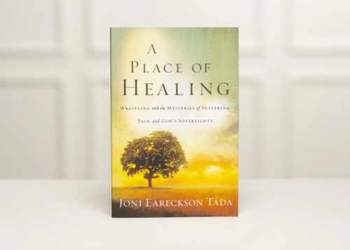 A Place of Healing Book Cover