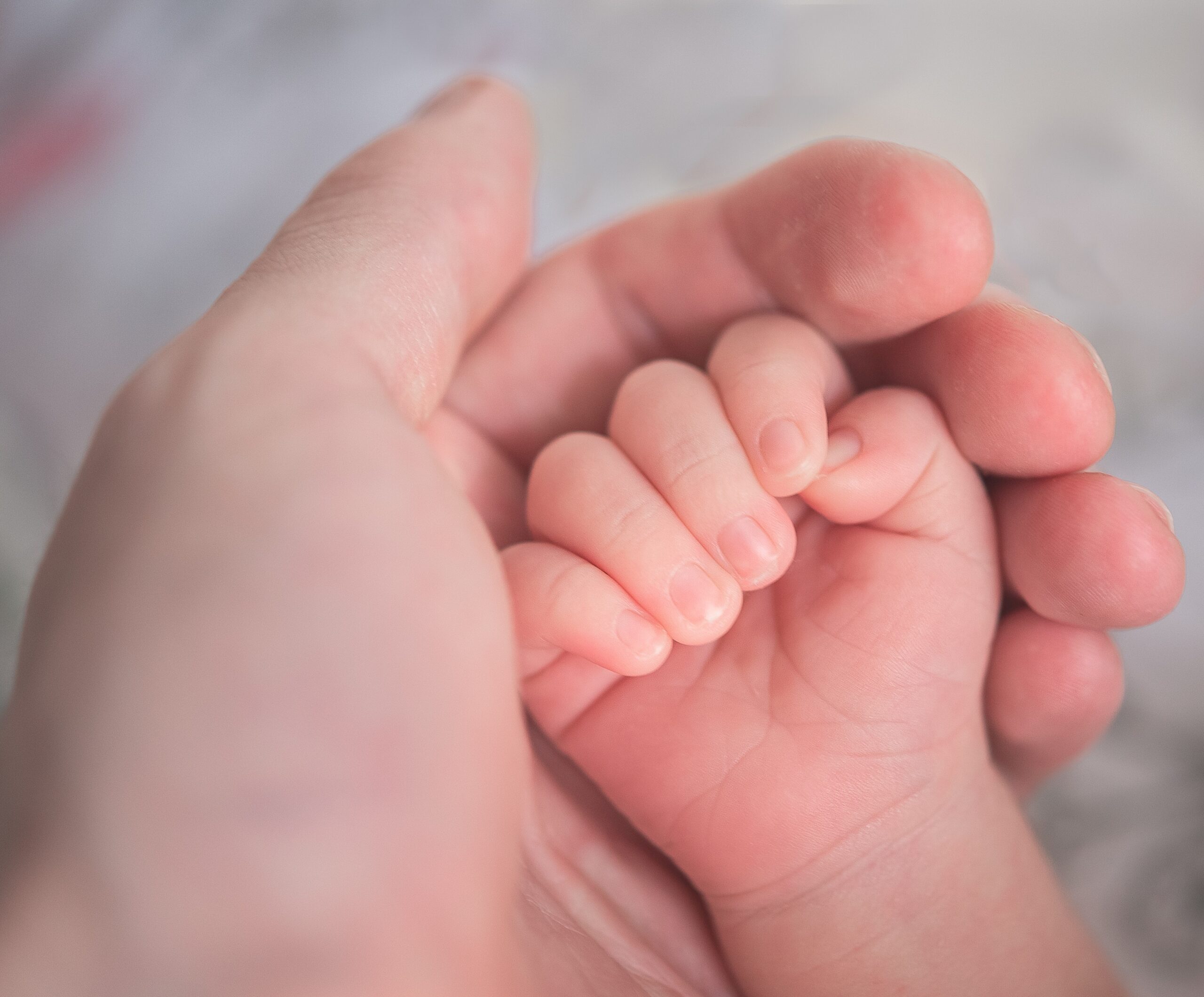 An adult gently holding a baby’s hand.