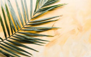 A green palm resting on a light-colored surface.
