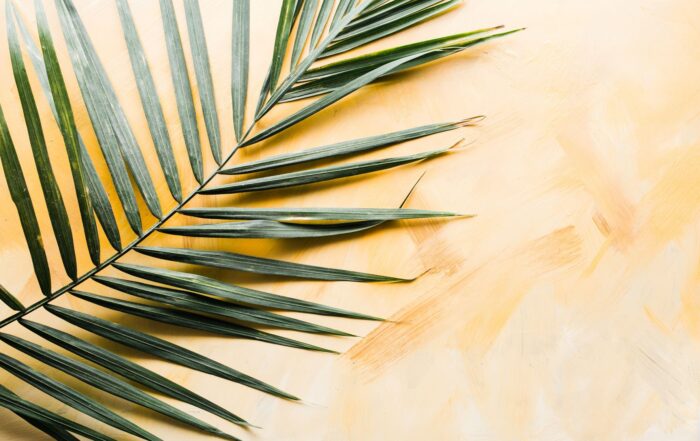 A green palm resting on a light-colored surface.
