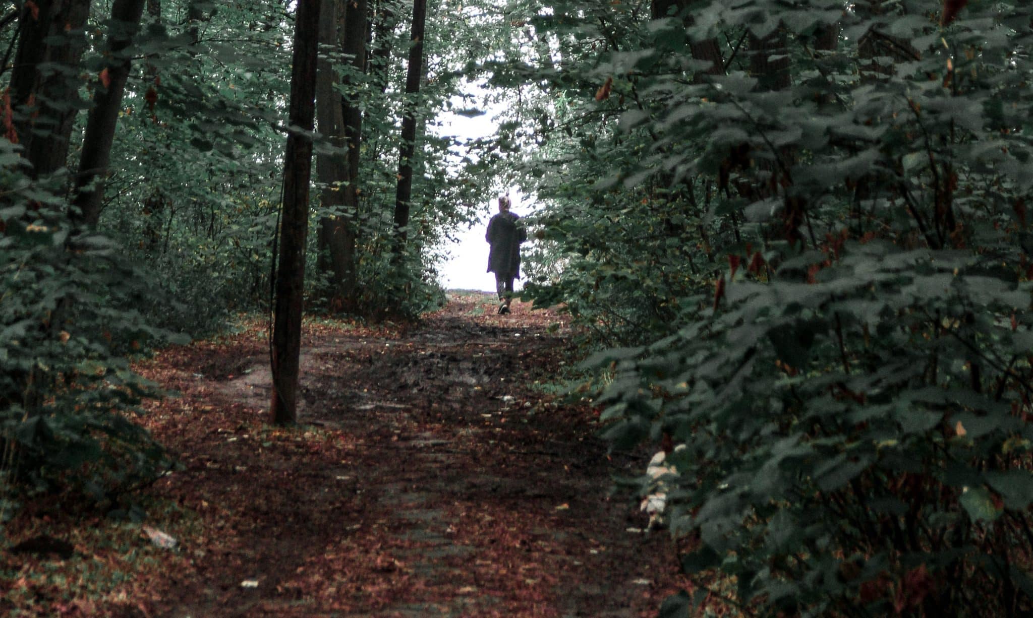 A man walking in the forest on a path.