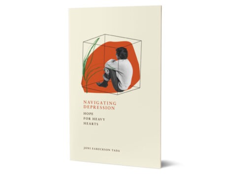 Navigating Depression Book Cover