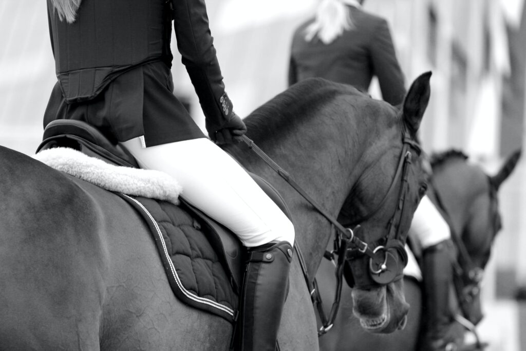 A woman sitting on her horse riding English style with her hands on her reigns.