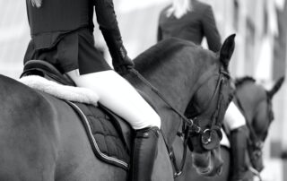 A woman sitting on her horse riding English style with her hands on her reigns.