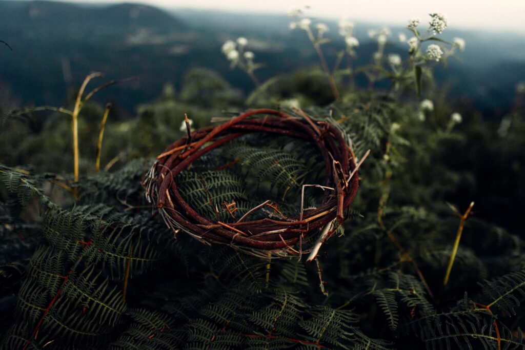 Close up of a crown of thorns laid on top of a fern plant with a mountain range in the background.