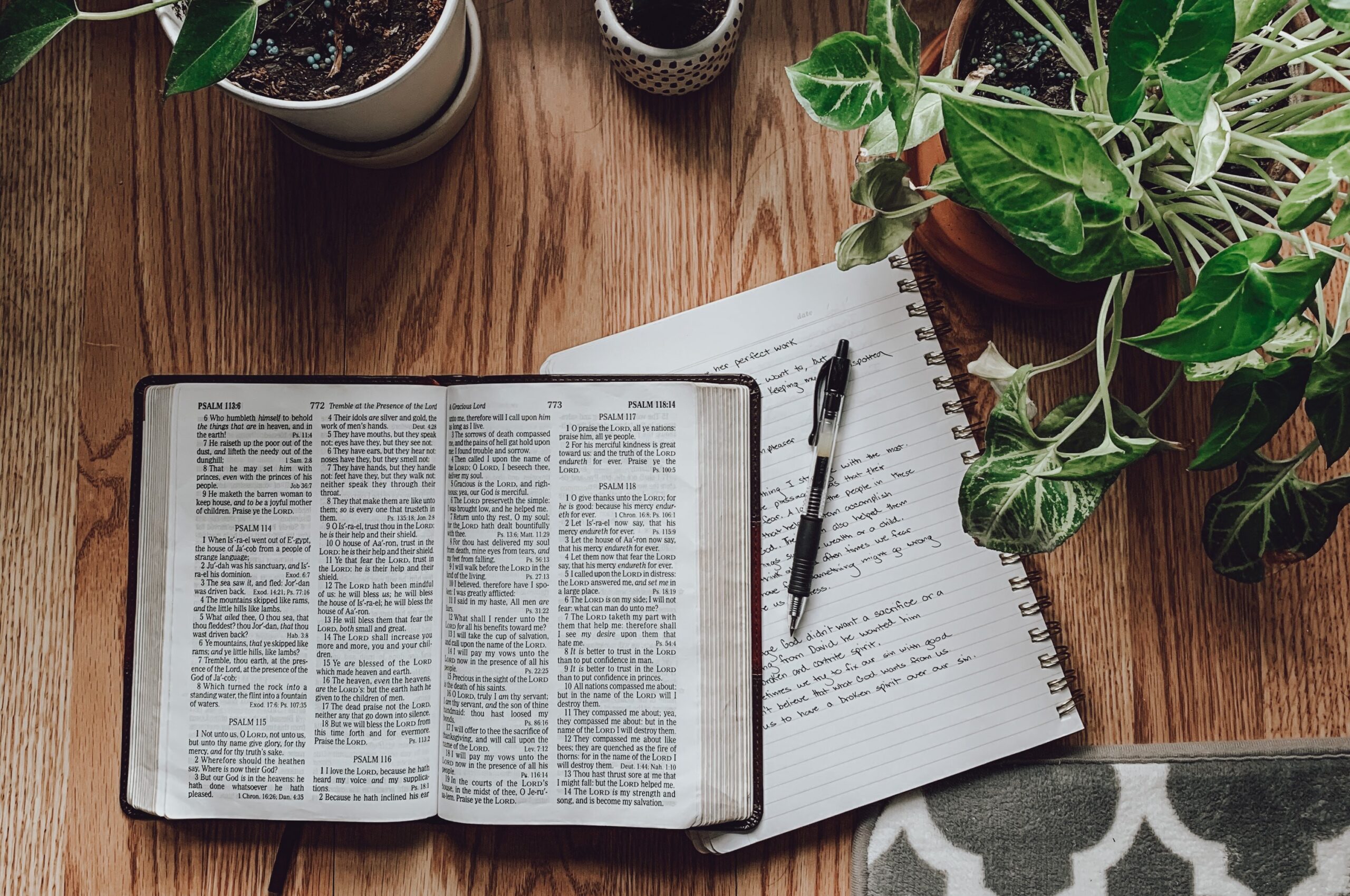 A picture from above an open bible set on top of a spiral notebook on a wooden surface with a few potted plants around it.