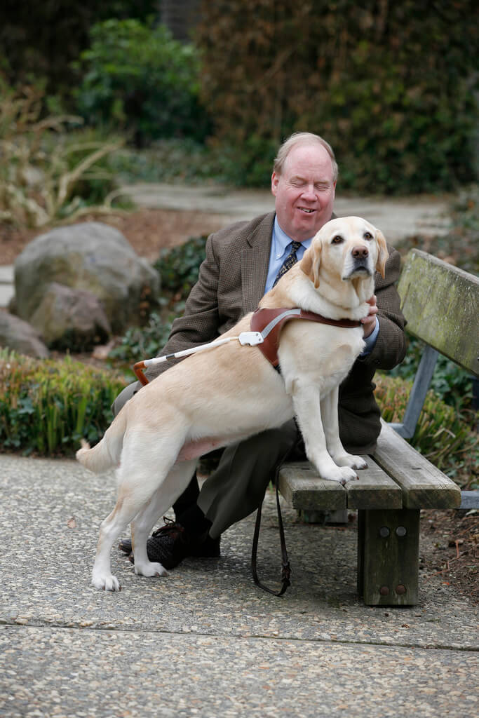 Michael Hingson sitting on a park bench with his guide dog, Roselle. They are outdoors, surrounded by greenery.