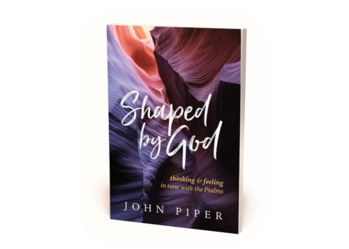 Shaped by God book cover