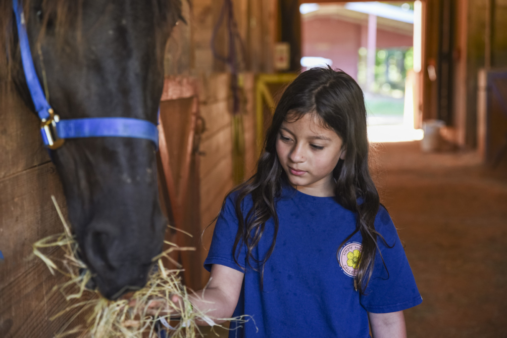 Amelia looking focused and enjoying herself while feeding the horse.