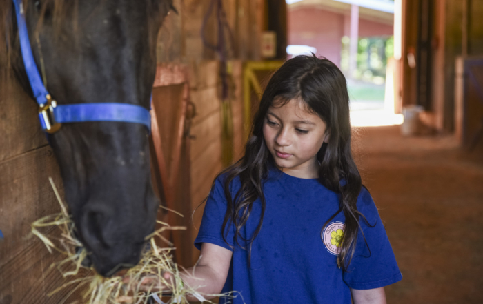 Amelia looking focused and enjoying herself while feeding the horse.