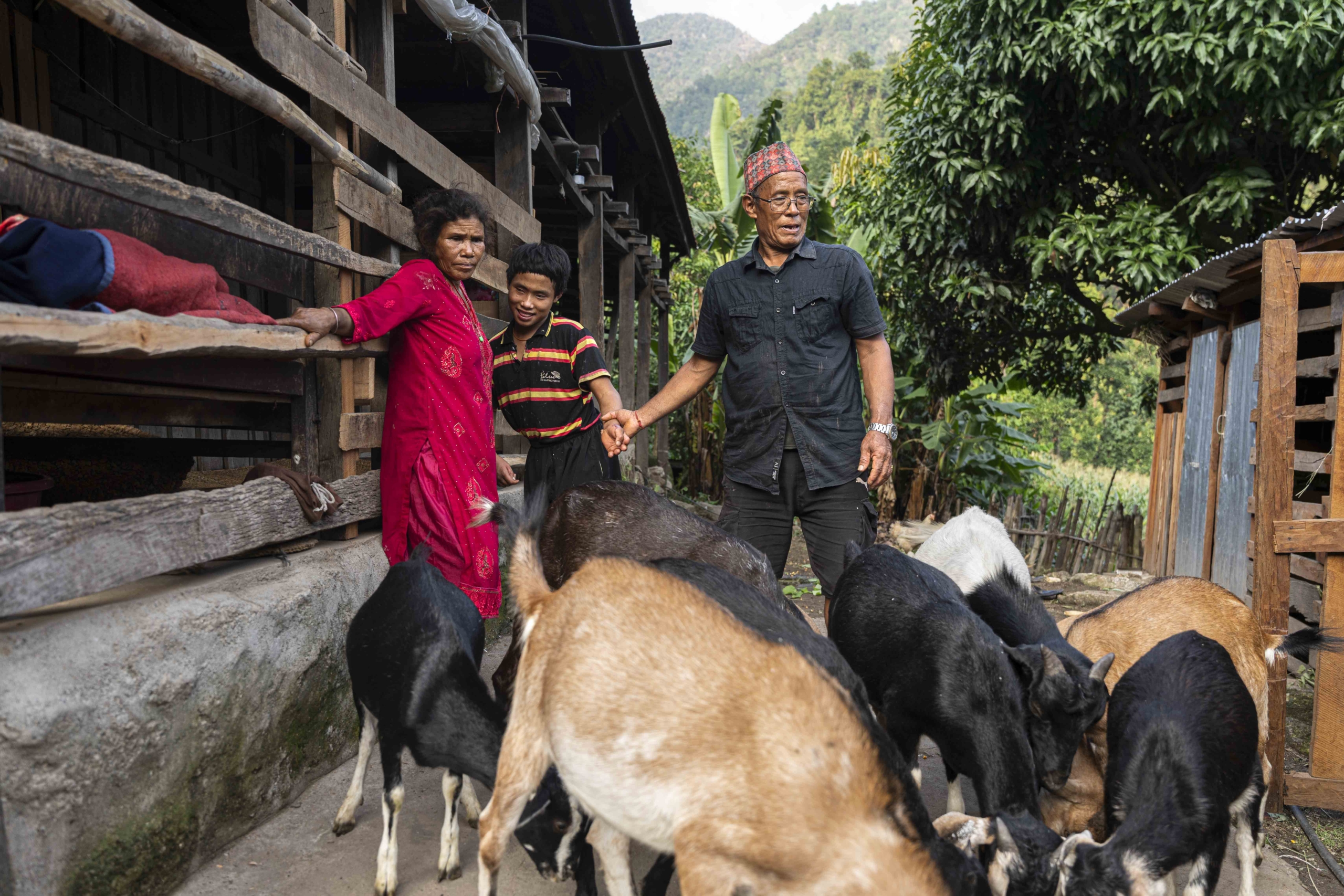 Surya standing with her mom and dad, surrounded by goats that are eating, creating a lively and peaceful family scene.