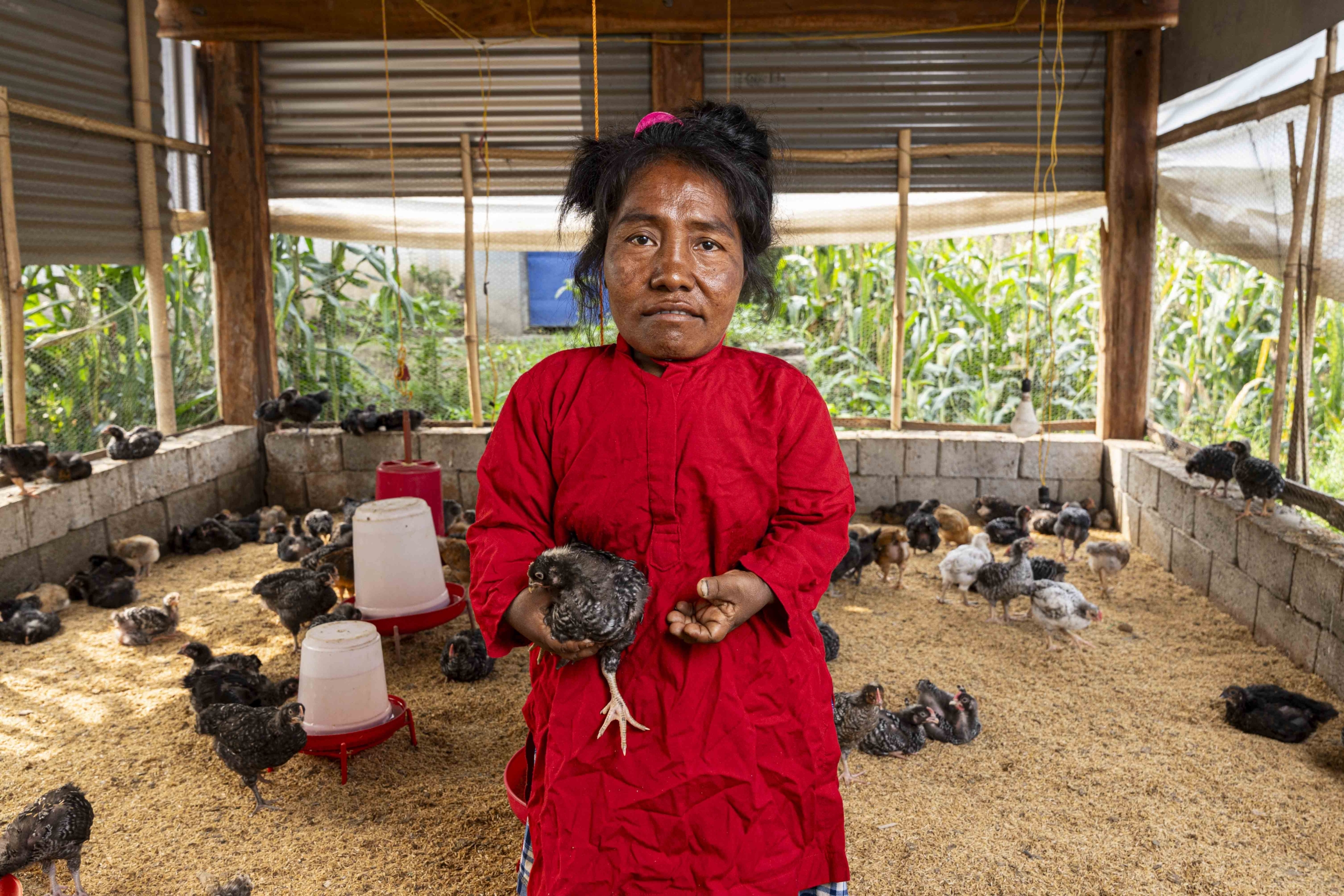 Kalyani standing and looking at the camera while holding a chicken inside her chicken coop, built by Joni and Friends, with chickens scattered around.