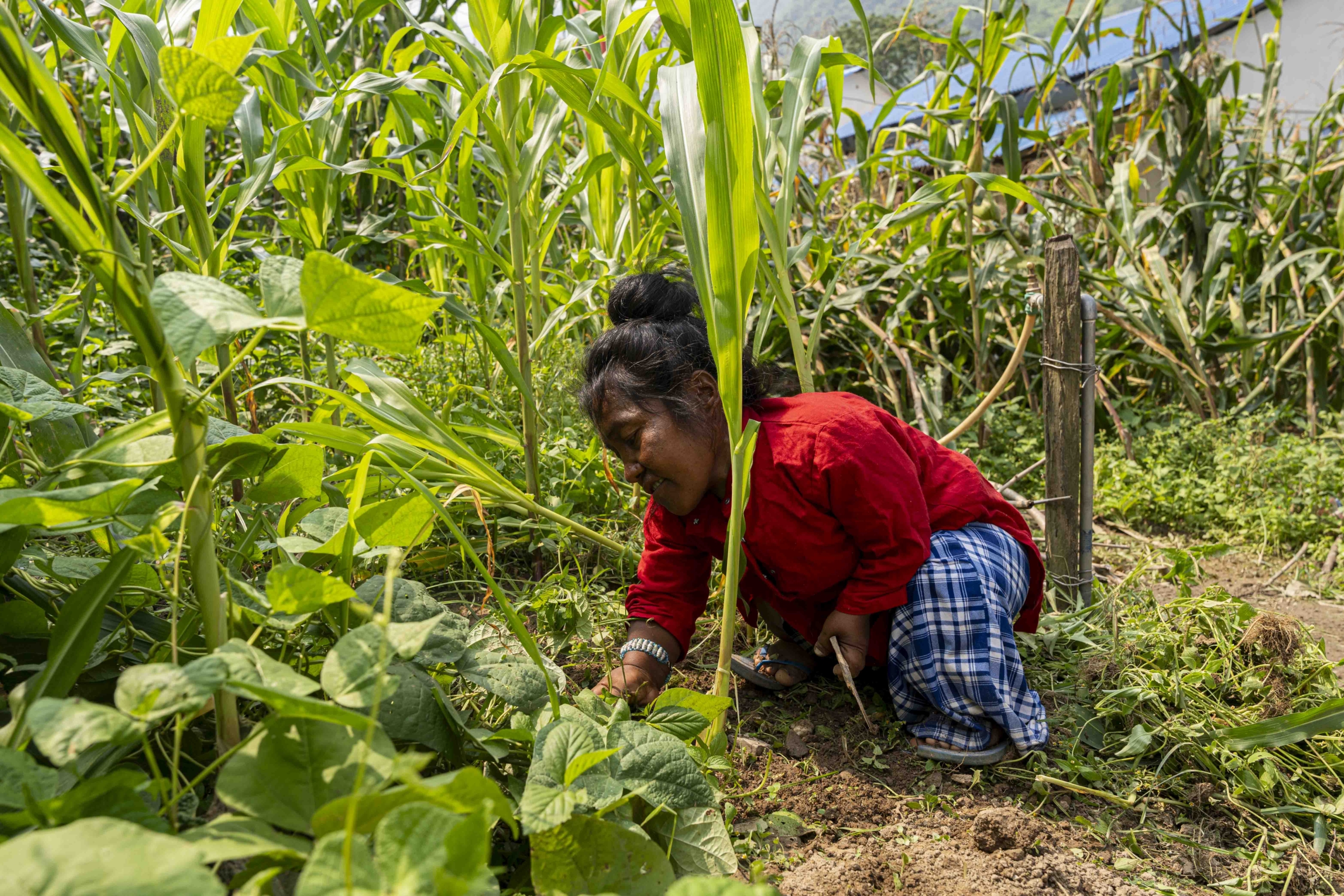 Kalyani smiling while planting.