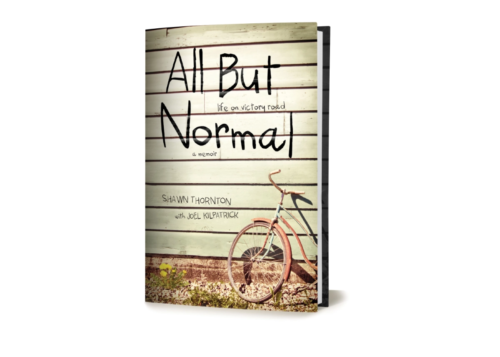 All But Normal book cover