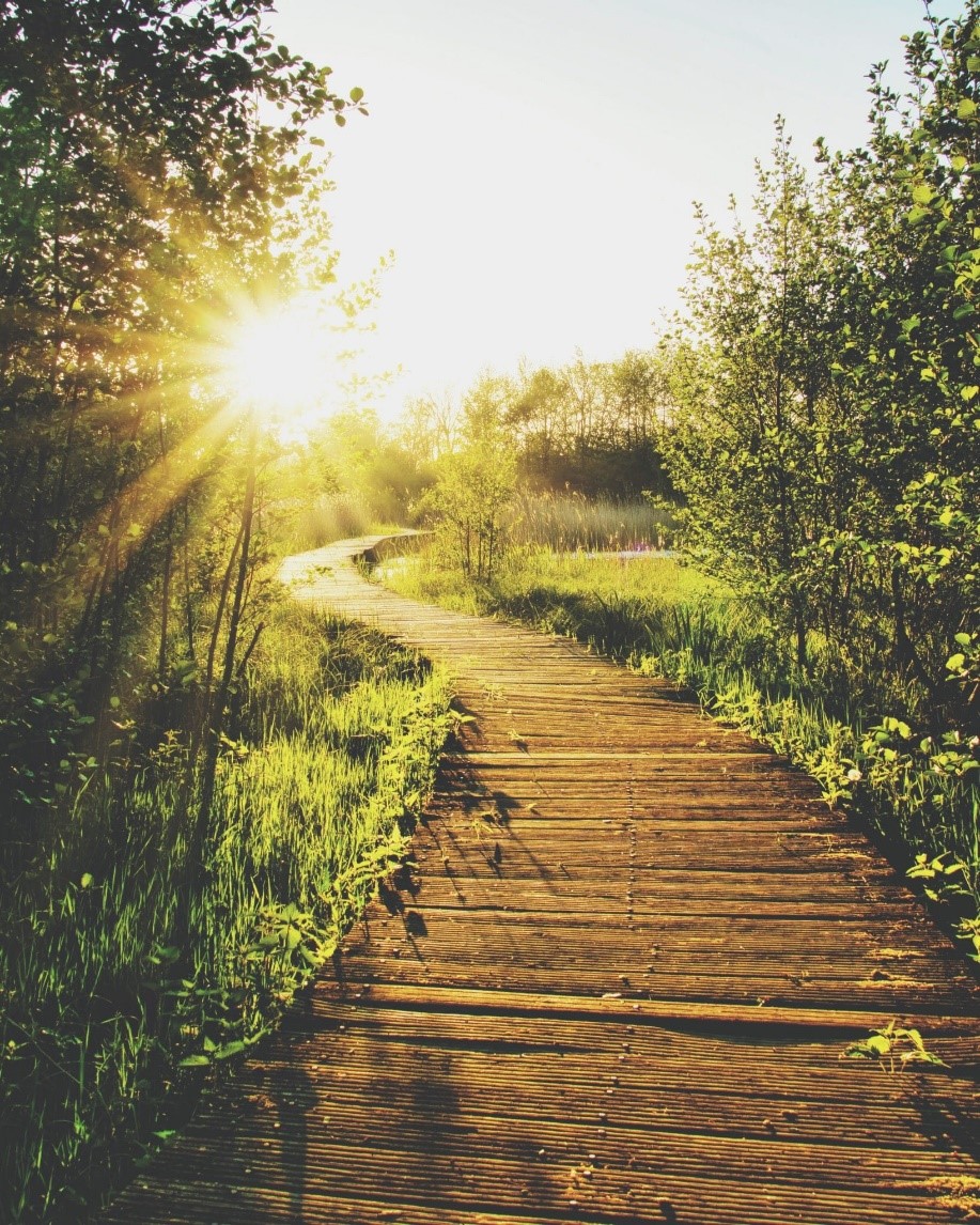 Wooden trail leading toward the horizon with the sun rising in the background.