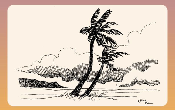 A sketch of two palm trees swaying in the wind, with clouds drifting in the sky above.