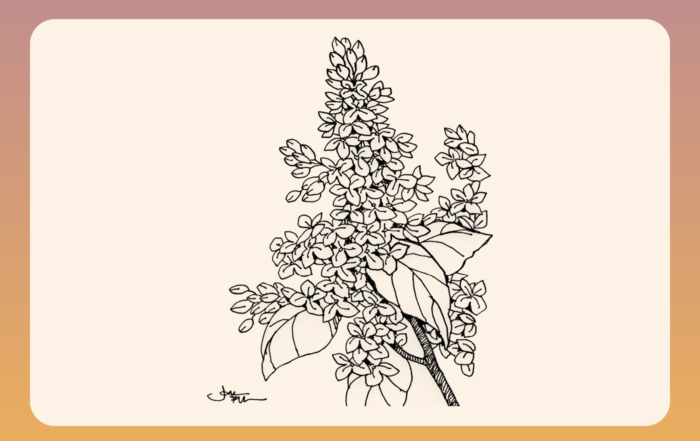 A sketch of a branch with leaves attached, showing the natural curvature and details of the foliage.