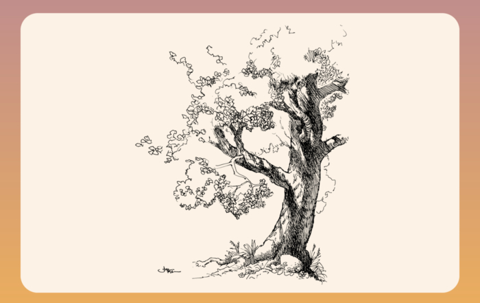 A sketch of a large tree, showing its thick trunk and expansive branches with leaves.