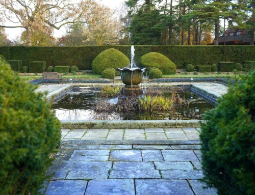 The Fountain