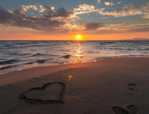 To Love or Not to Love