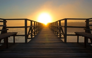 A wooden boardwalk with benches on both sides leads straight into a glowing sunrise, casting a golden light over the misty water and silhouetted trees in the distance.