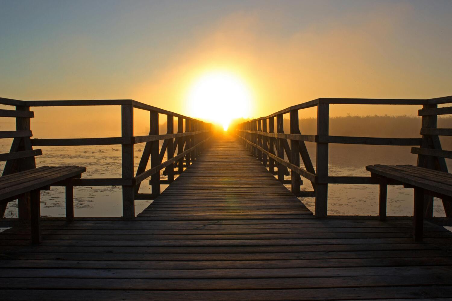 A wooden boardwalk with benches on both sides leads straight into a glowing sunrise, casting a golden light over the misty water and silhouetted trees in the distance.