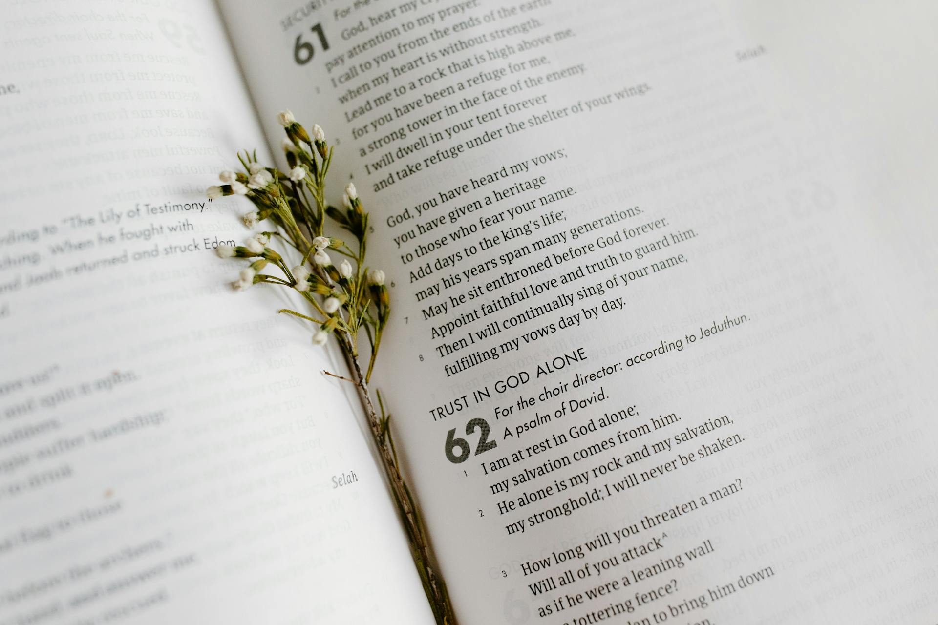 A dried stem with small flower buds lies on an open Bible at Psalms 61 and 62, with the heading "Trust in God Alone"