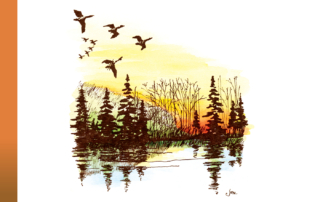 A watercolor and ink drawing of a flock of birds flying over a lake with pine trees and their reflections at sunset.
