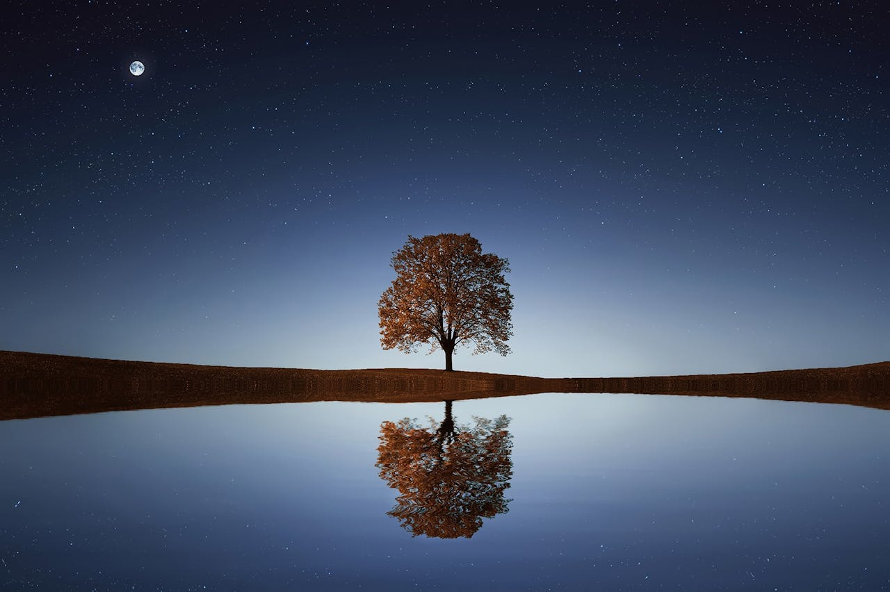 A serene night scene featuring a single tree reflected perfectly in a still body of water under a starry sky